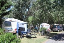 Parcelas camping Standard